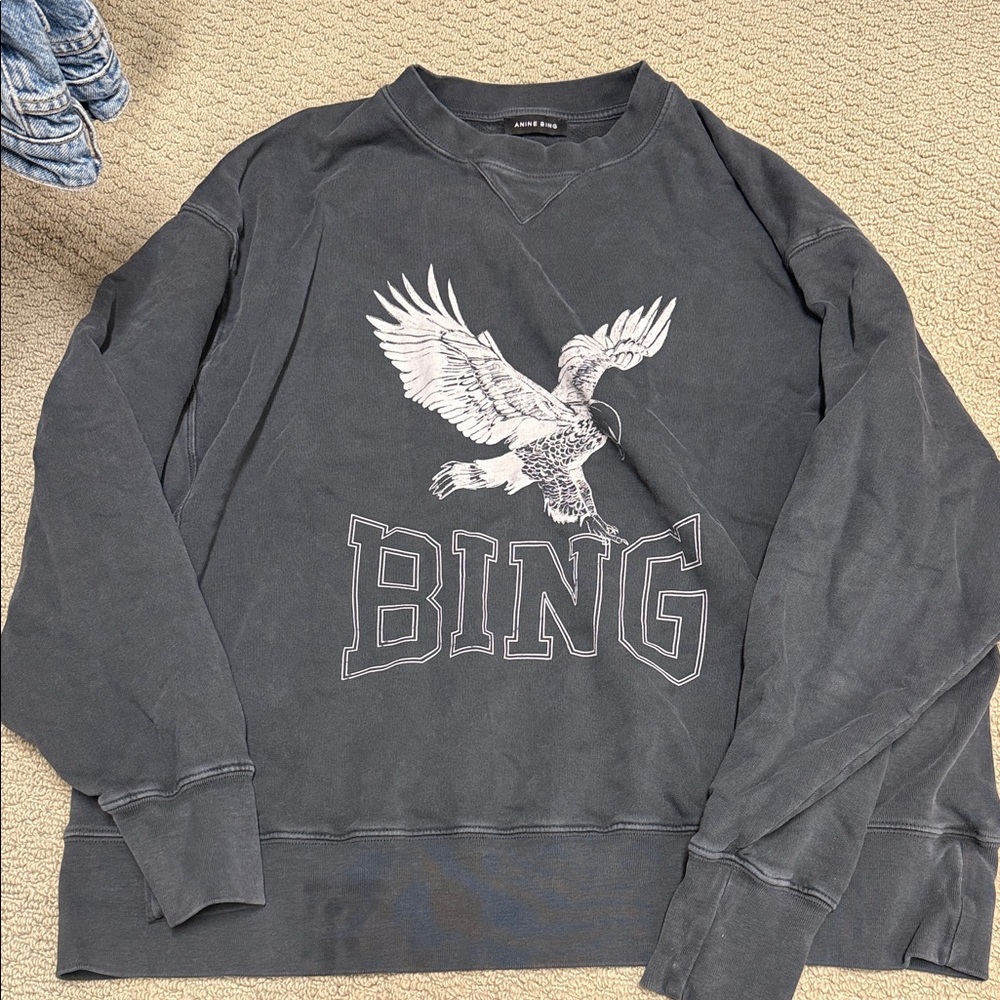 Anine Bing Rowe Eagle Hoodie